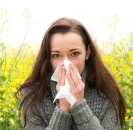 ThinkstockPhotos-149412290. All About Ragweed Allergy: Signs, Symptoms and Avoidance