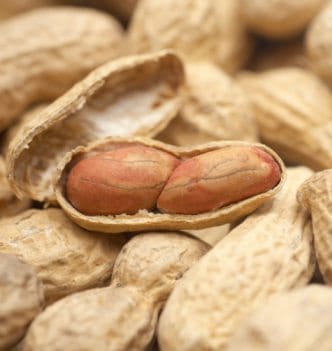 Managing peanut allergy takes knowledge and vigilance but is easier than it may seem.