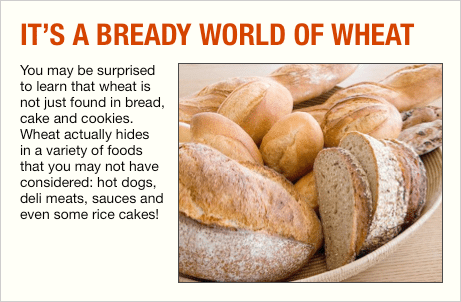 Wheat allergy may not be as prevalent in North America as other food allergies, but can be just as dangerous.