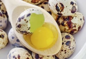 Are Quail Eggs Safe to Eat for a Child with Egg Allergy?