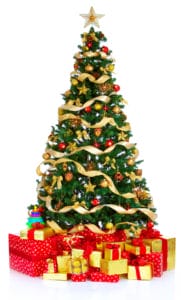 bigstock-Christmas-Tree-3942104