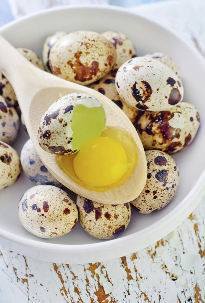 partridge eggs for eating