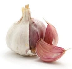 A garlic clove. Immune boosters 9 wonder foods.
