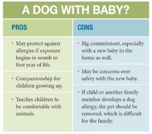 There are pros and cons of having a dog, even if pet ownership can help protect your child against allergies.