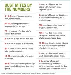 Allergy Control How To Defeat Dust Mites A Big Trigger