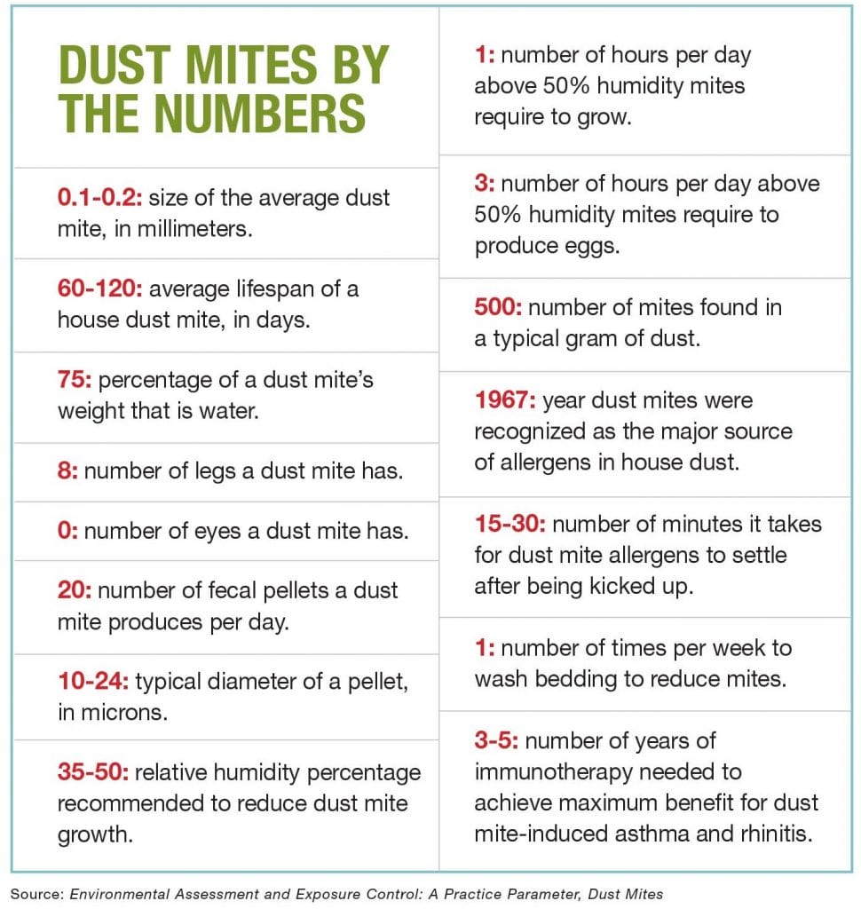 Dust mites allergy
