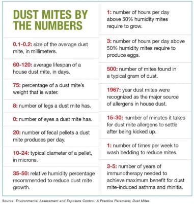 Dust mites allergy