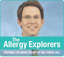 allergy explorer - vickery
