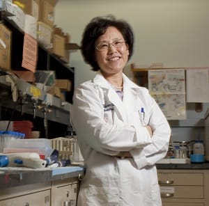 Dr. Xiu-Min Li of Mount Sinai Medical Center at her lab in New York.