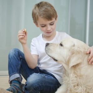 Child giving treat to dog.