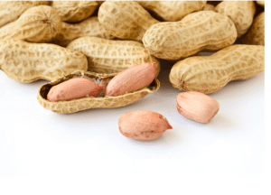 Genes could play a role in the development of peanut allergy, according to one study. 