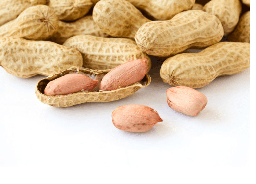 Can OIT make peanut allergy "go away"? Read about one family's journey.