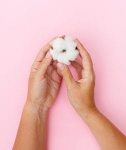 Hands holding one raw cotton bud on pink background.