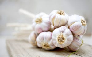 Garlic allergy is a rare form of food allergy. 