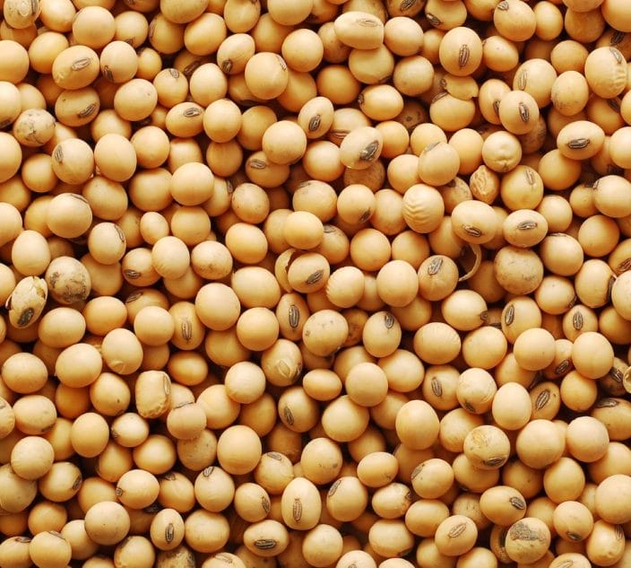 Close-up of piles of soy beans