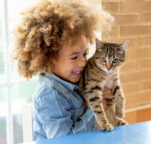 Ethnic kid girl playing with cat in a table.