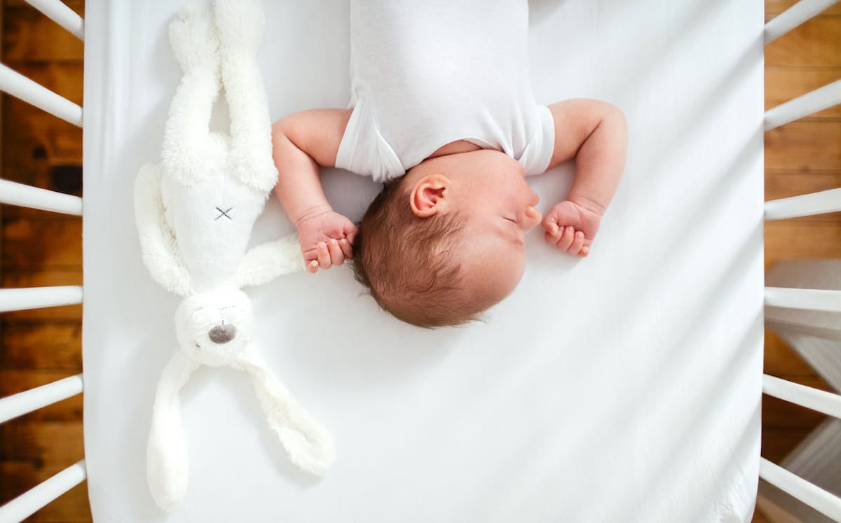 Portrait of a little baby peacefully sleeping in its crib with a favourite toy