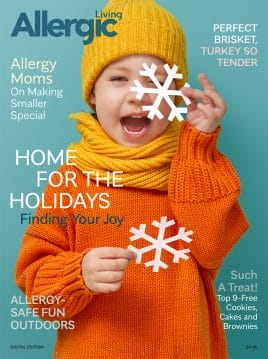 Holiday e-Magazine Cover